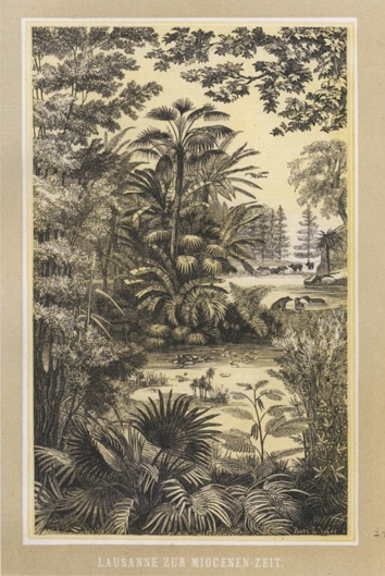 A l'époque de la molasse
