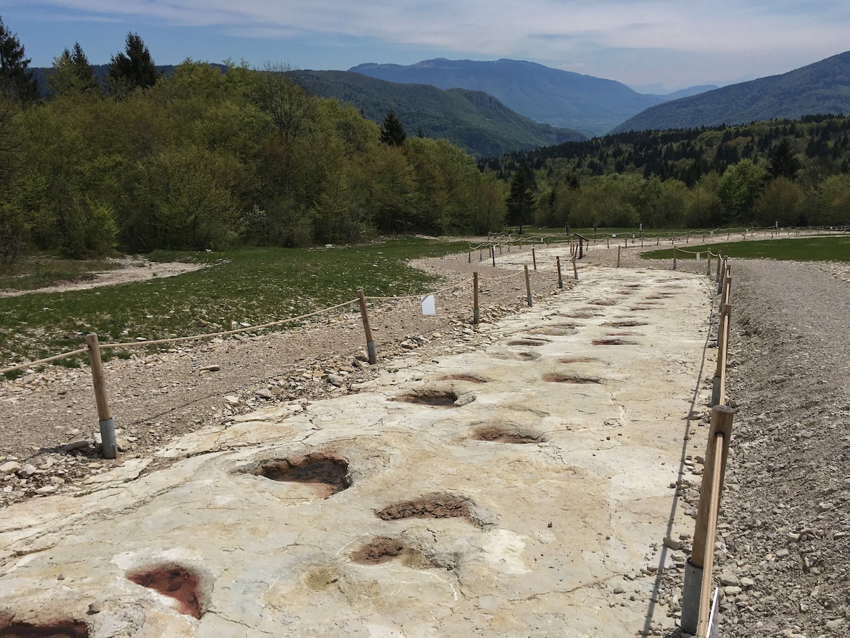 Traces de dinosaures dans le Jura