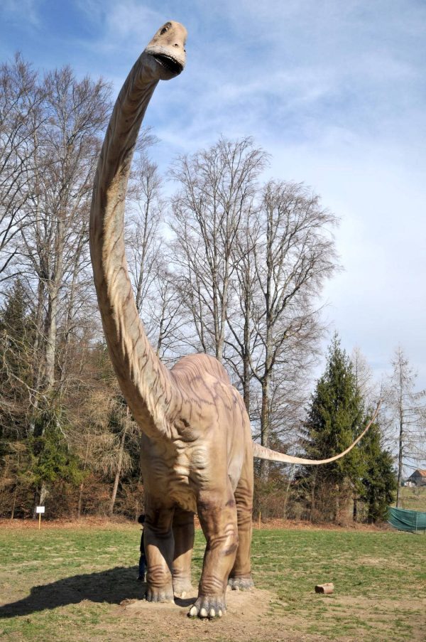 Dinosaure sauropode